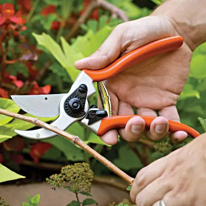 A.M Leonard ~ Traditional Bypass Pruner 1 Inch Cut Capacity-ServeScape