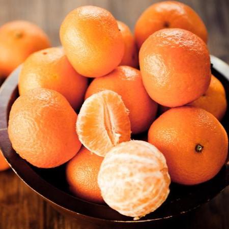 Citrus reticulata 'Fairchild' ~ Fairchild Mandarin-ServeScape