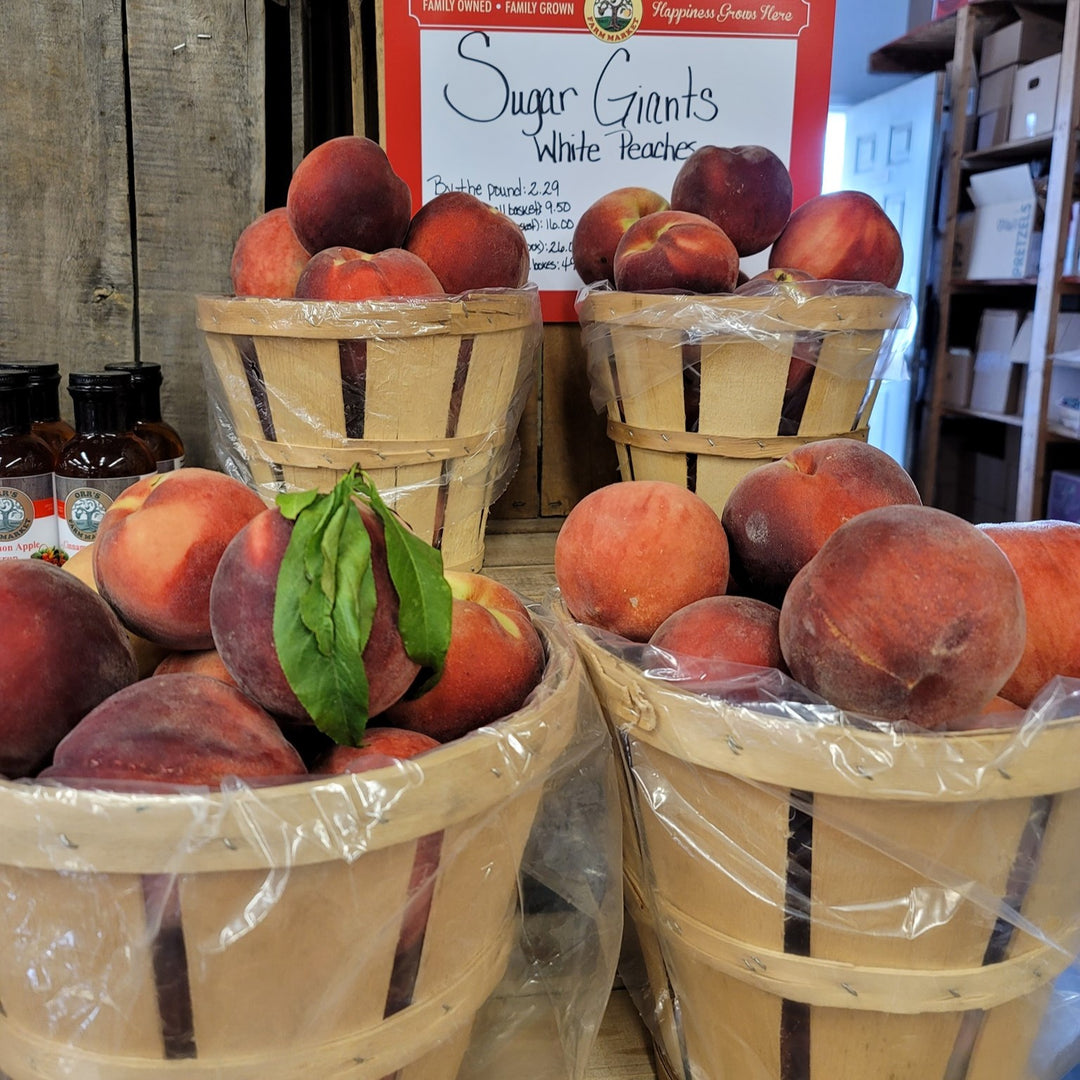 Prunus persica 'Sugar Giant' ~ Sugar Giant Peach-ServeScape