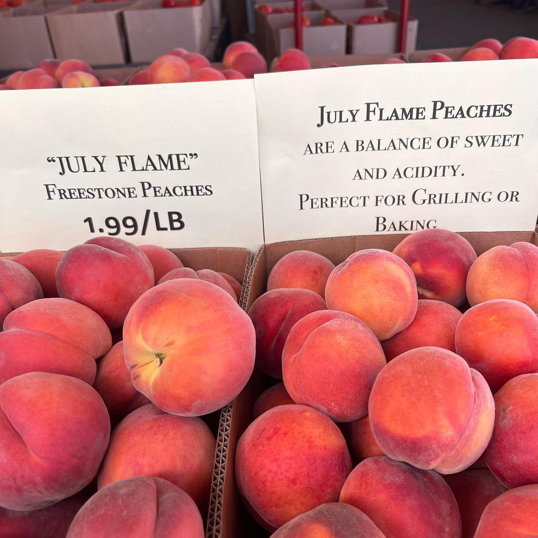 Prunus persica 'July Flame ~ July Flame Peach-ServeScape