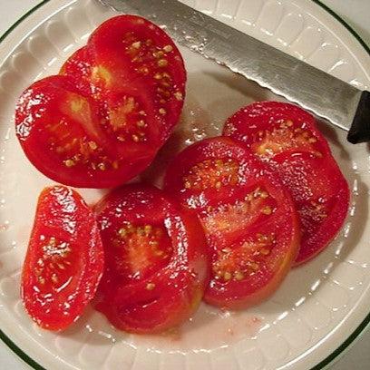 Solanum lycopersicum 'Big Boy' ~Big Boy Tomato-ServeScape