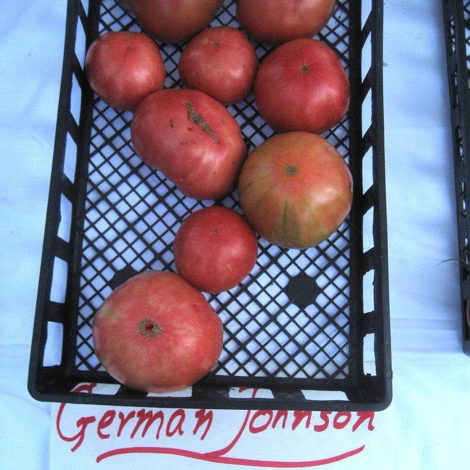 Solanum lycopersicum 'German Johnson' ~ German Johnson Tomato-ServeScape