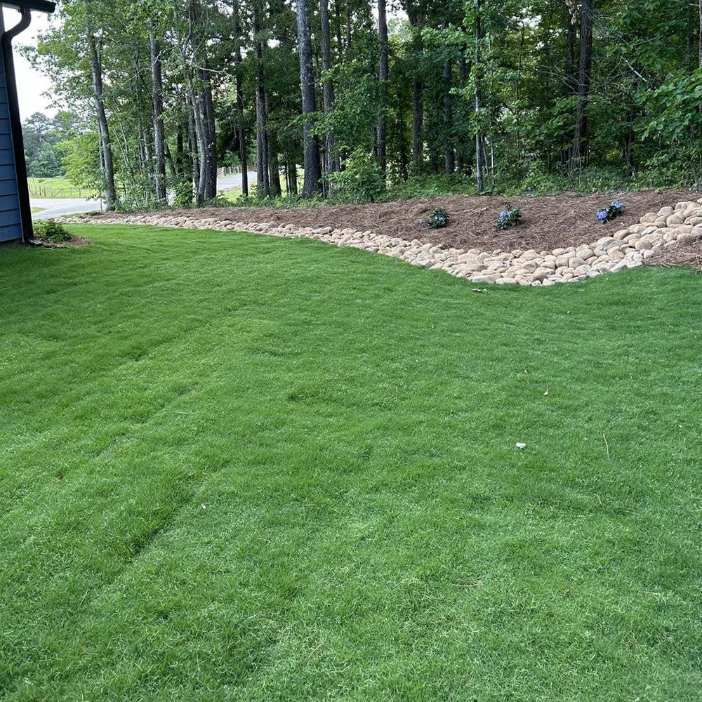 Tahoma 31® ~ Bermuda Sod-ServeScape