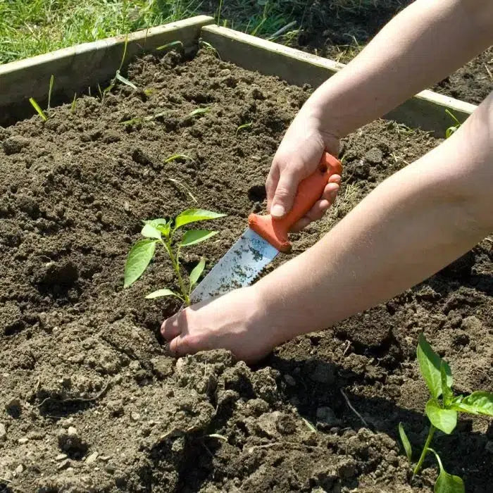 A.M Leonard ~ Classic Stainless Steel Soil Knife, 6in Dual Edged Blade-ServeScape