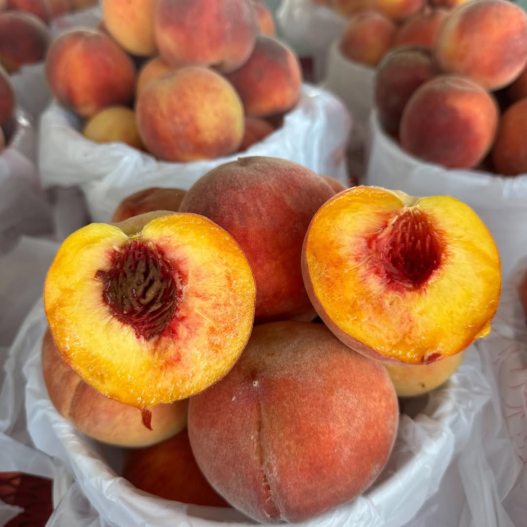 Prunus persica 'RedGlobe' ~ Red Globe Peach-ServeScape