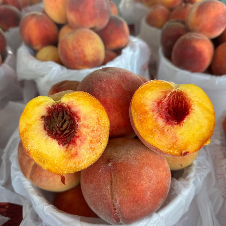 Prunus persica 'RedGlobe' ~ Red Globe Peach-ServeScape