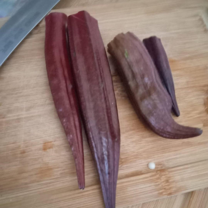 Abelmoschus esculentus 'Red Burgundy' ~ Red Burgundy Okra-ServeScape