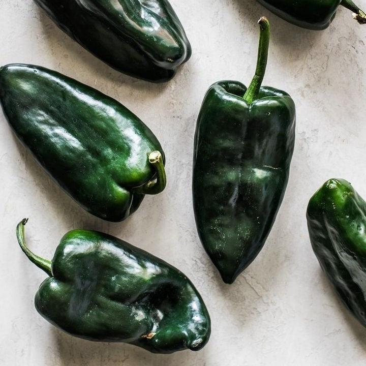 Capsicum annuum 'Poblano' ~ Poblano Pepper-ServeScape
