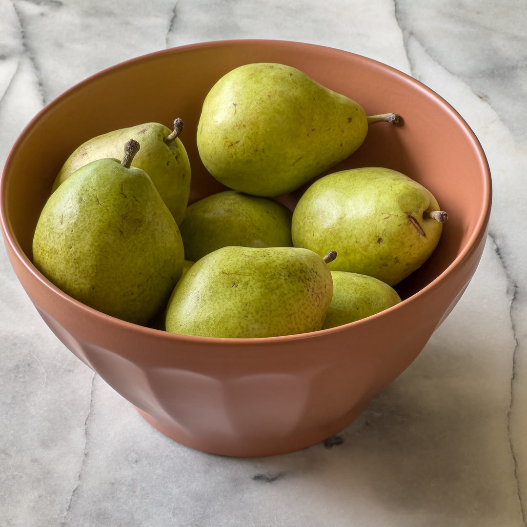 Pyrus communis 'D'Anjou' ~ D'Anjou Pear-ServeScape