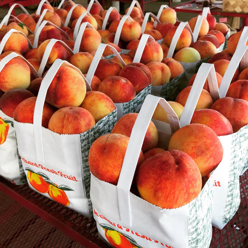 Prunus persica 'RedGlobe' ~ Red Globe Peach-ServeScape