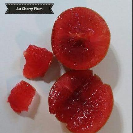 Pyrus 'AU-Cherry' ~ Au Cherry Plum-ServeScape