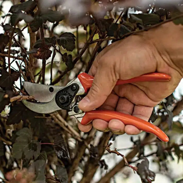 A.M Leonard ~ Contractor-Grade Traditional Bypass Pruner-ServeScape