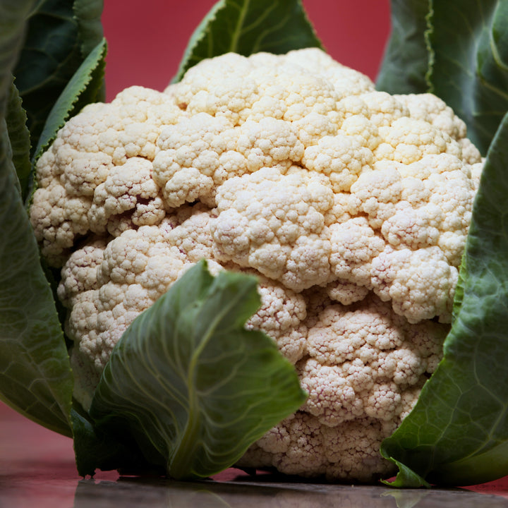 Brassica oleracea var. botrytis 'Snowball' ~ Snowball Cauliflower-ServeScape