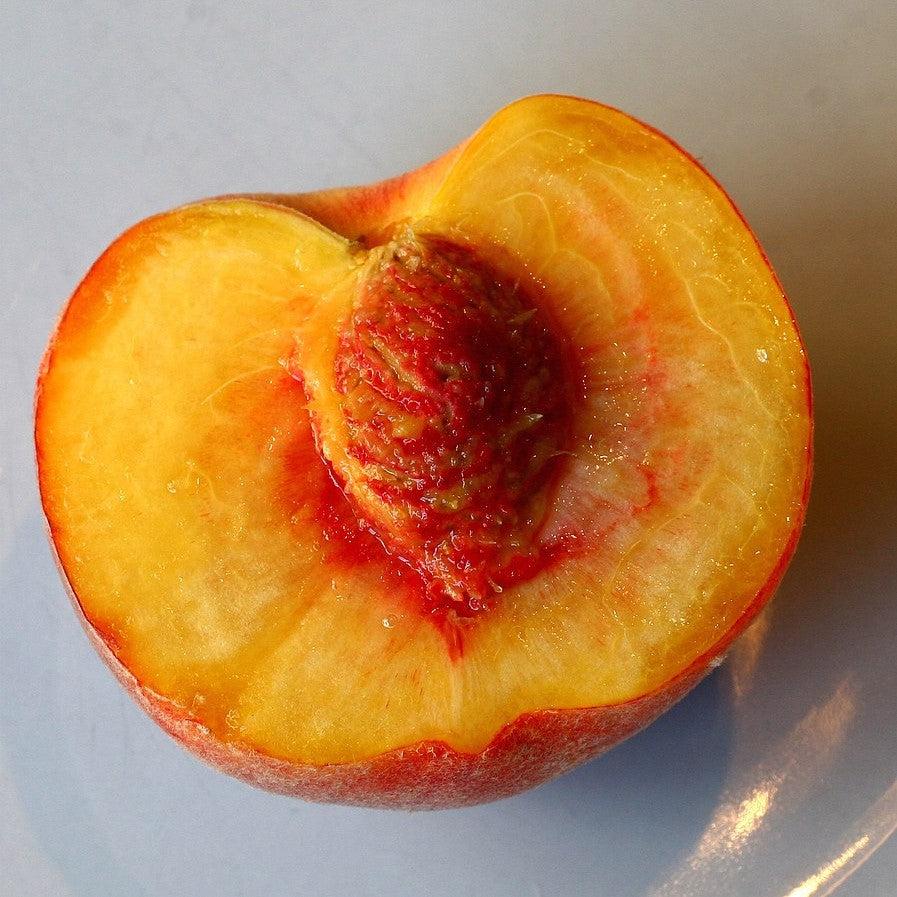 Prunus persica 'Gulfcrimson' ~ Gulf Crimson Peach-ServeScape