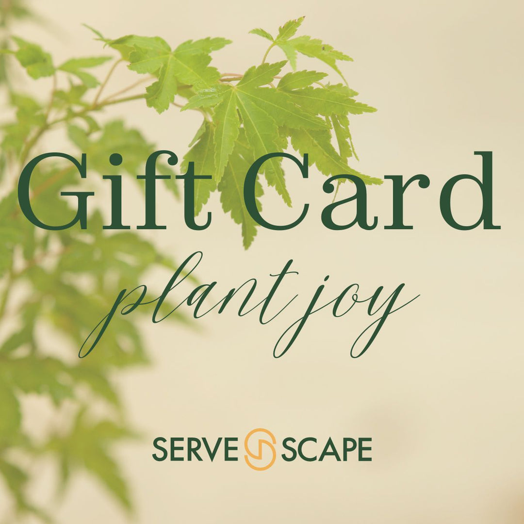 ServeScape Online ~ Gift Card-ServeScape