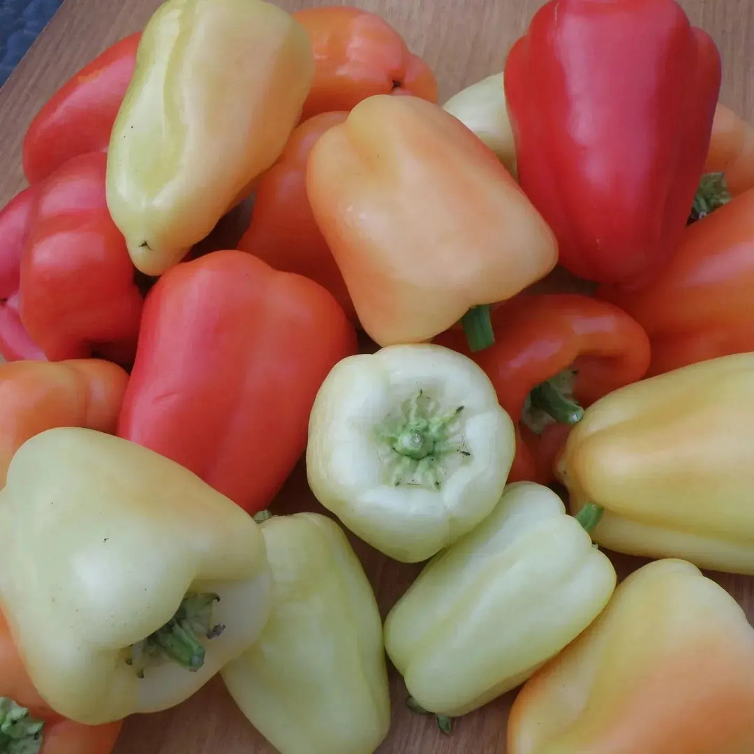 Assorted Peppers ~ Pepper Vegetables (4.5in)-ServeScape