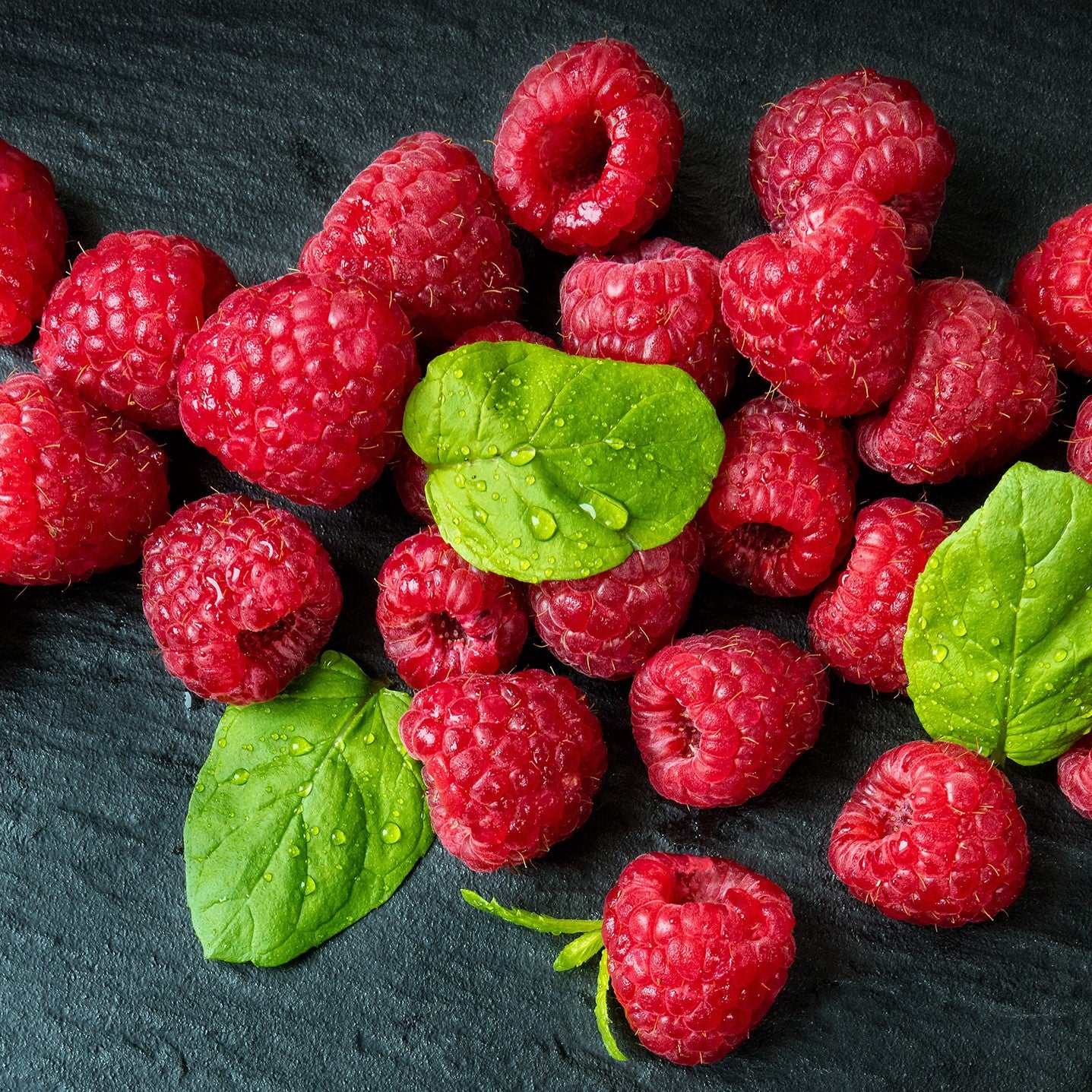 Rubus idaeus 'Boyne' ~ Boyne Raspberry-ServeScape