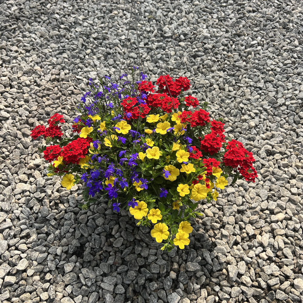 ServeScape ~ Assorted Warm Season Annual Hanging Basket-ServeScape