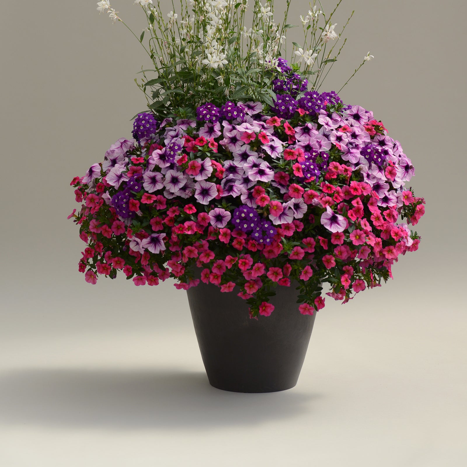 King's Greenhouse ~ MixMasters™ A Grape Fit Combo Pot-ServeScape