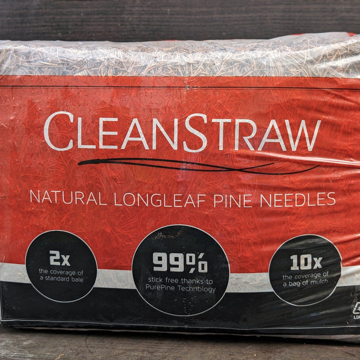 Pinestraw ~ CleanStraw-ServeScape