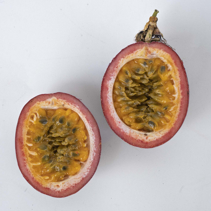 Passiflora 'Wellington 101' PP 35,636 ~ Poppin’ Passion™ Passion Flower-ServeScape