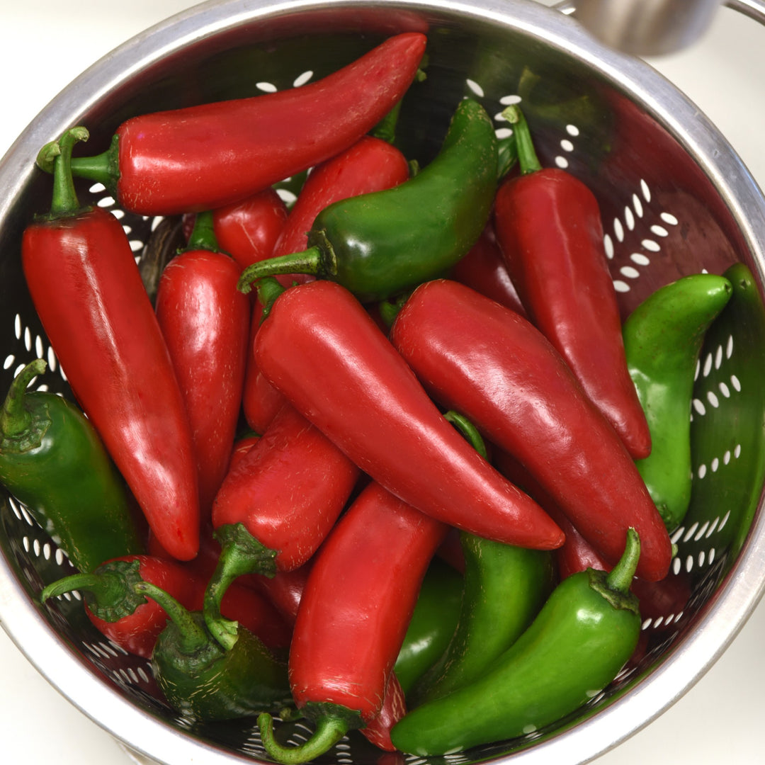 Capsicum annuum 'Pot-A-Peno' ~ Pot-A-Peno Pepper-ServeScape