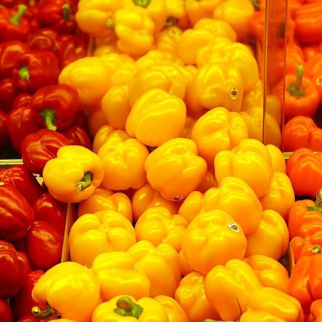 Capsicum annuum (Grossum Group) ~ Bell Pepper, yellow-ServeScape