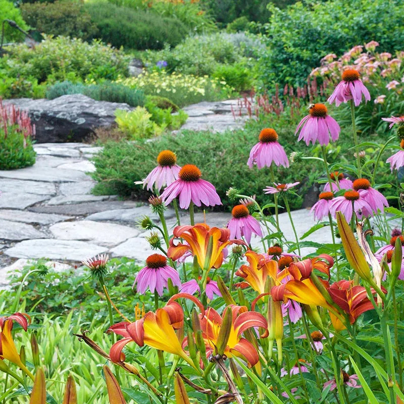 Project Package ~ Pollinator Garden Package