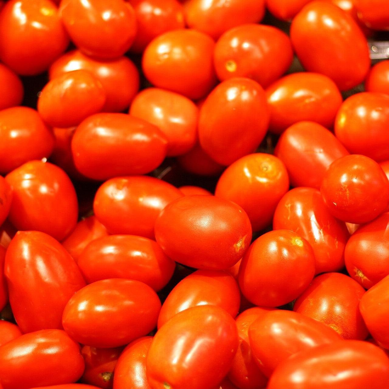 Solanum lycopersicum 'Roma' ~ Roma Tomato-ServeScape