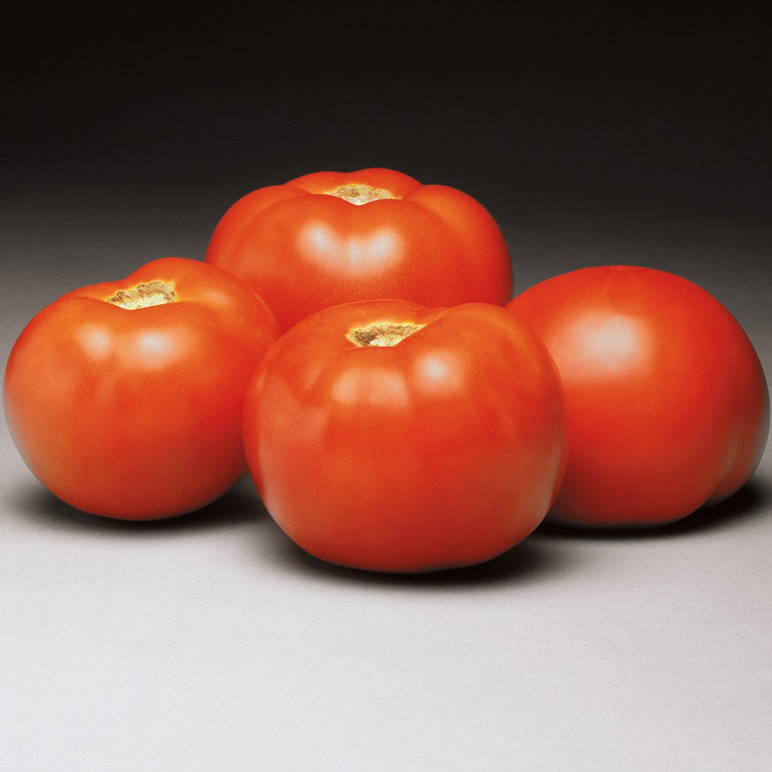 Solanum lycopersicum 'Better Bush' ~ Better Bush Tomato-ServeScape
