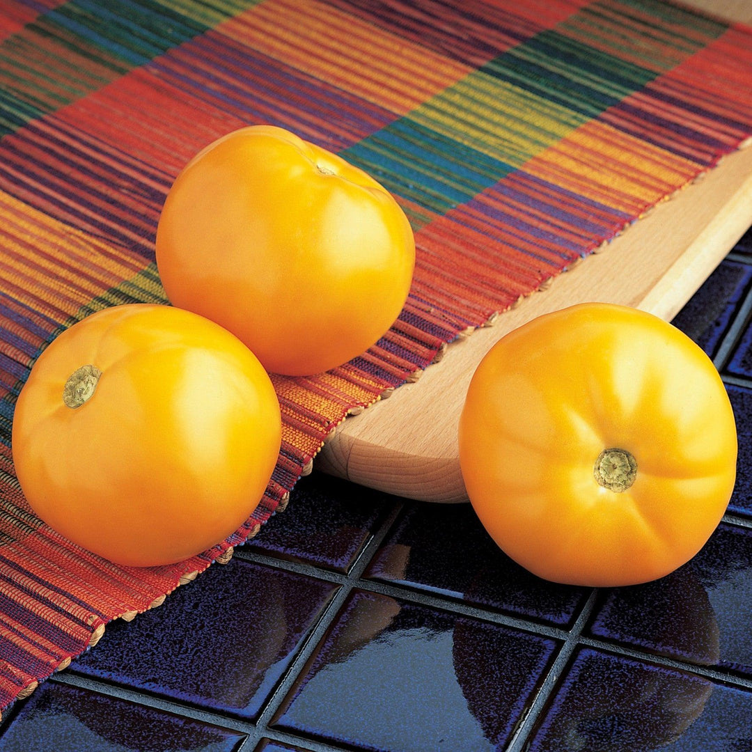 Solanum lycopersicum 'Carolina Gold' ~ Carolina Gold Tomato-ServeScape