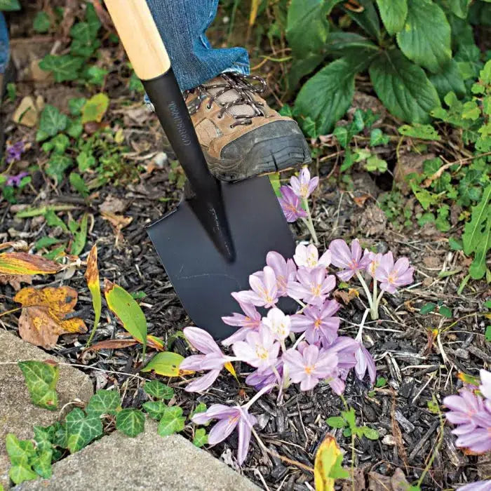 A.M Leonard ~ Floral Shovel with Long Handle-ServeScape