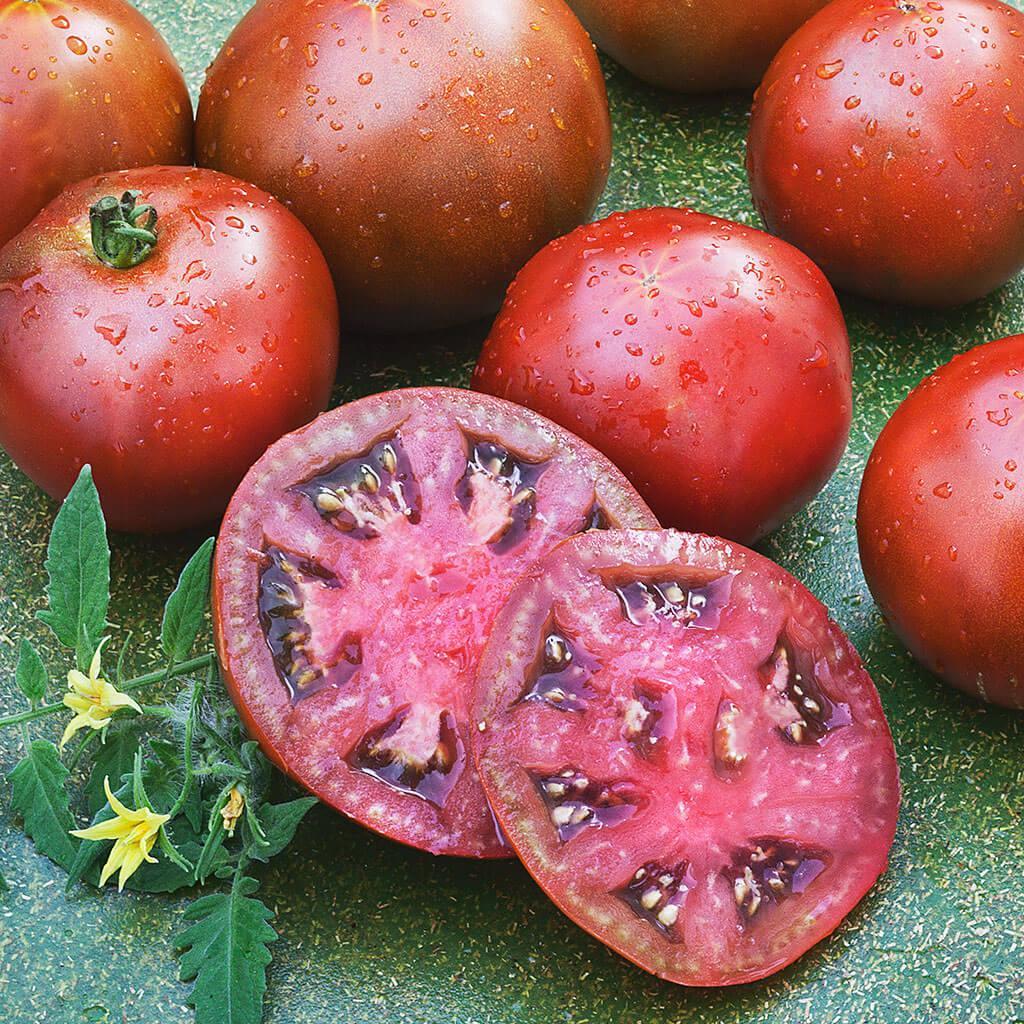 Assorted Tomato & Eggplant ~ Tomato & Eggplant Vegetables (4.5in)-ServeScape