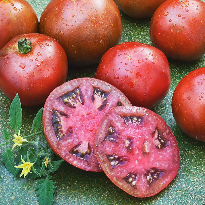 Assorted Tomato & Eggplant ~ Tomato & Eggplant Vegetables (4.5in)-ServeScape