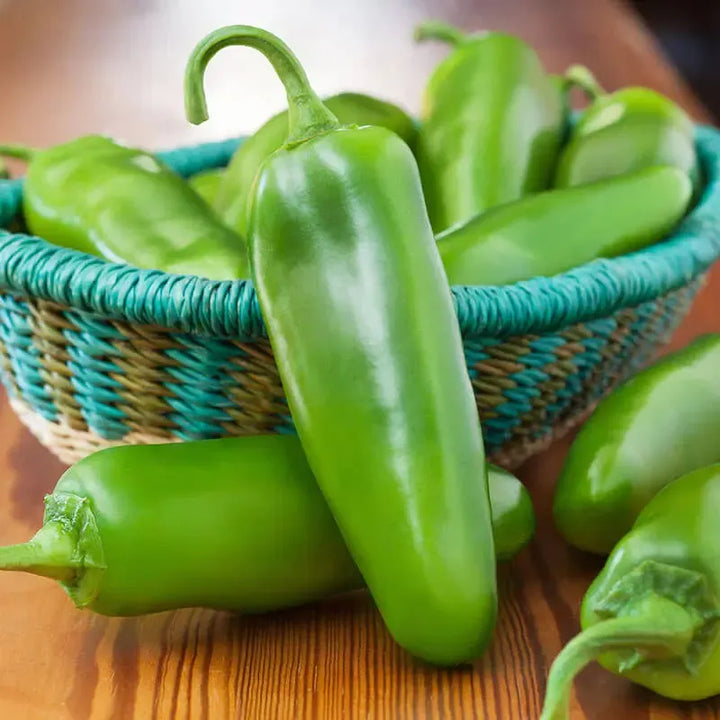 Assorted Peppers ~ Pepper Vegetables (4.5in)-ServeScape