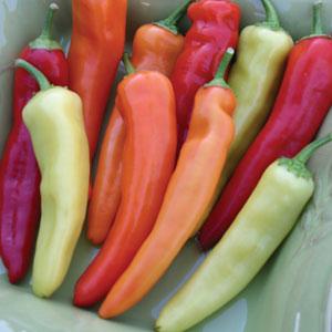 Capsicum annuum 'Hongarian Hot Wax' ~ Hungarian Hot Wax Pepper-ServeScape