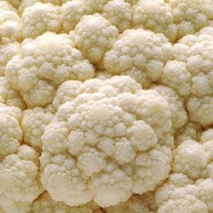 Brassica oleracea var. botrytis 'Amazing' ~ Amazing Cauliflower-ServeScape