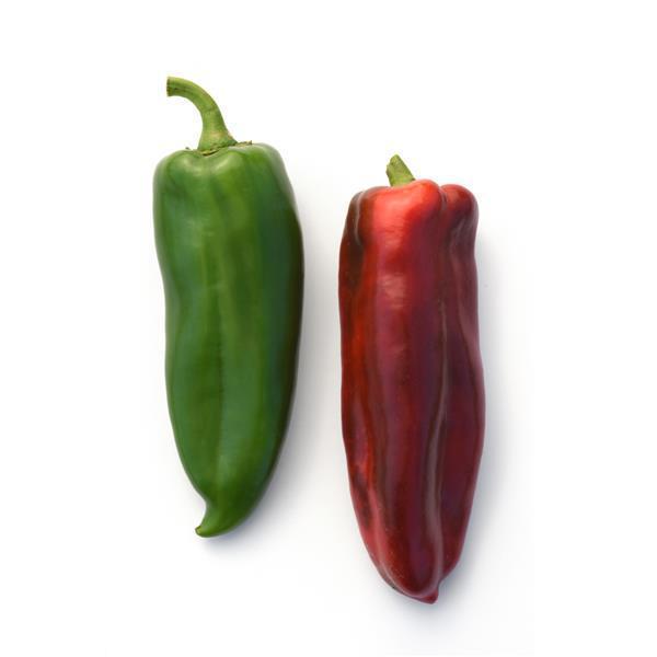 Capsicum annuum 'Anaheim TMR 23' ~ Anaheim TMR 23 Chili Pepper-ServeScape