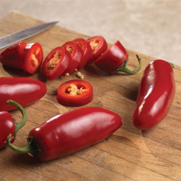 Capsicum annuum 'Sriracha' ~ Sriracha Pepper-ServeScape