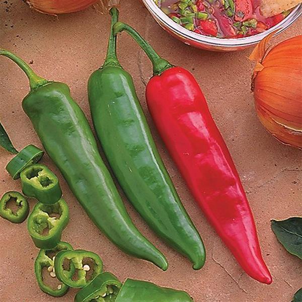 Capsicum annuum 'Garden Salsa' ~ Garden Salsa Chili Pepper-ServeScape