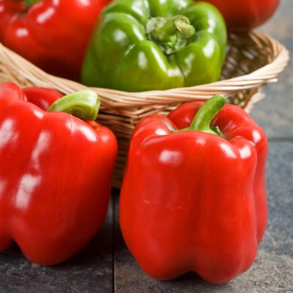 Capsicum annuum 'Red Knight' ~ Red Knight Sweet Pepper-ServeScape