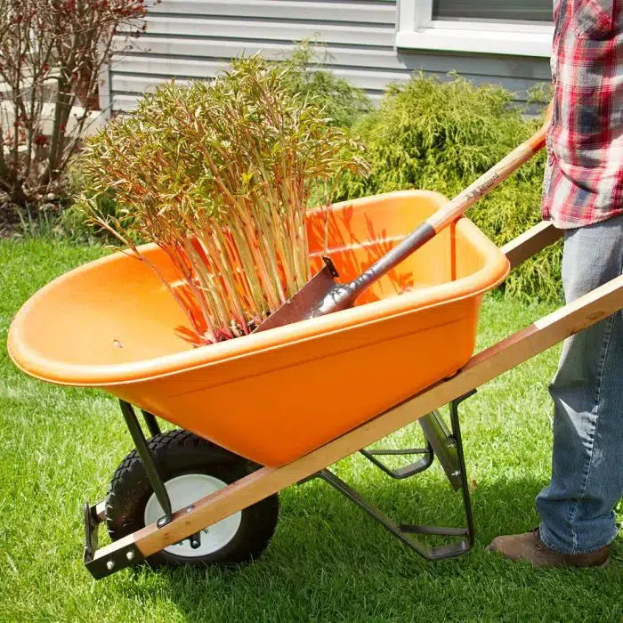 A.M Leonard ~ Poly Tray Wheelbarrow, Orange 6 Cubic Foot Capacity and Narrow Tire-ServeScape