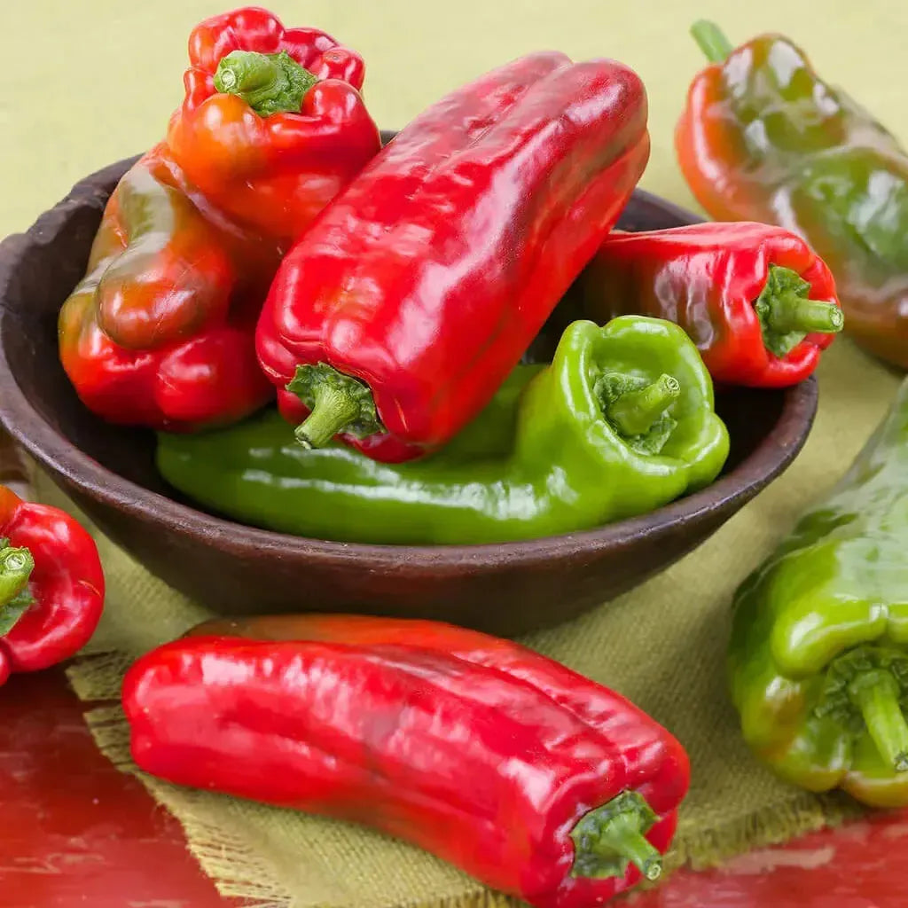 Assorted Peppers ~ Pepper Vegetables (4.5in)-ServeScape