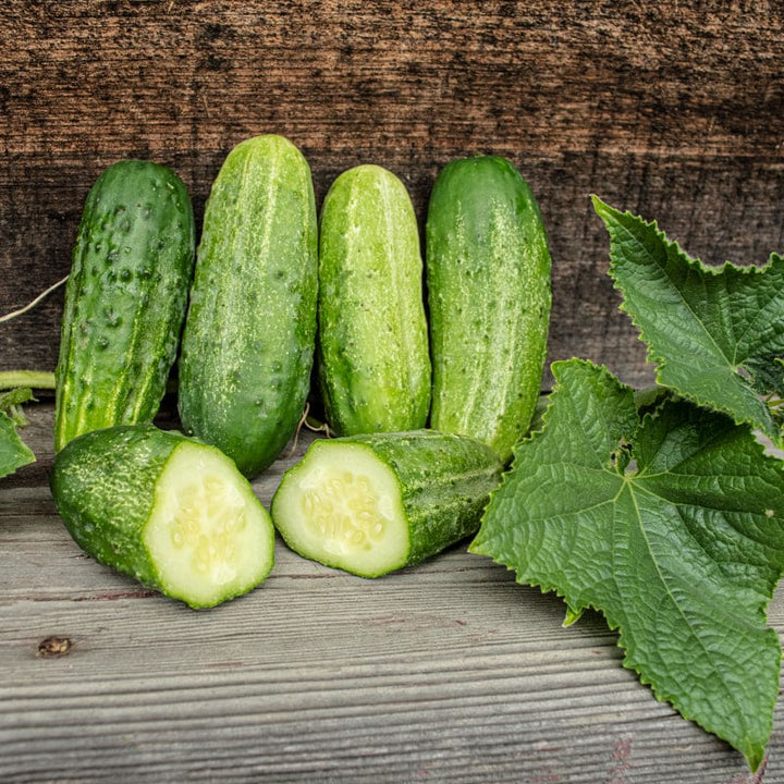 Assorted Vegetables ~ Cucumbers, Melons, Squash, and Okra Vegetables (4.5in)-ServeScape