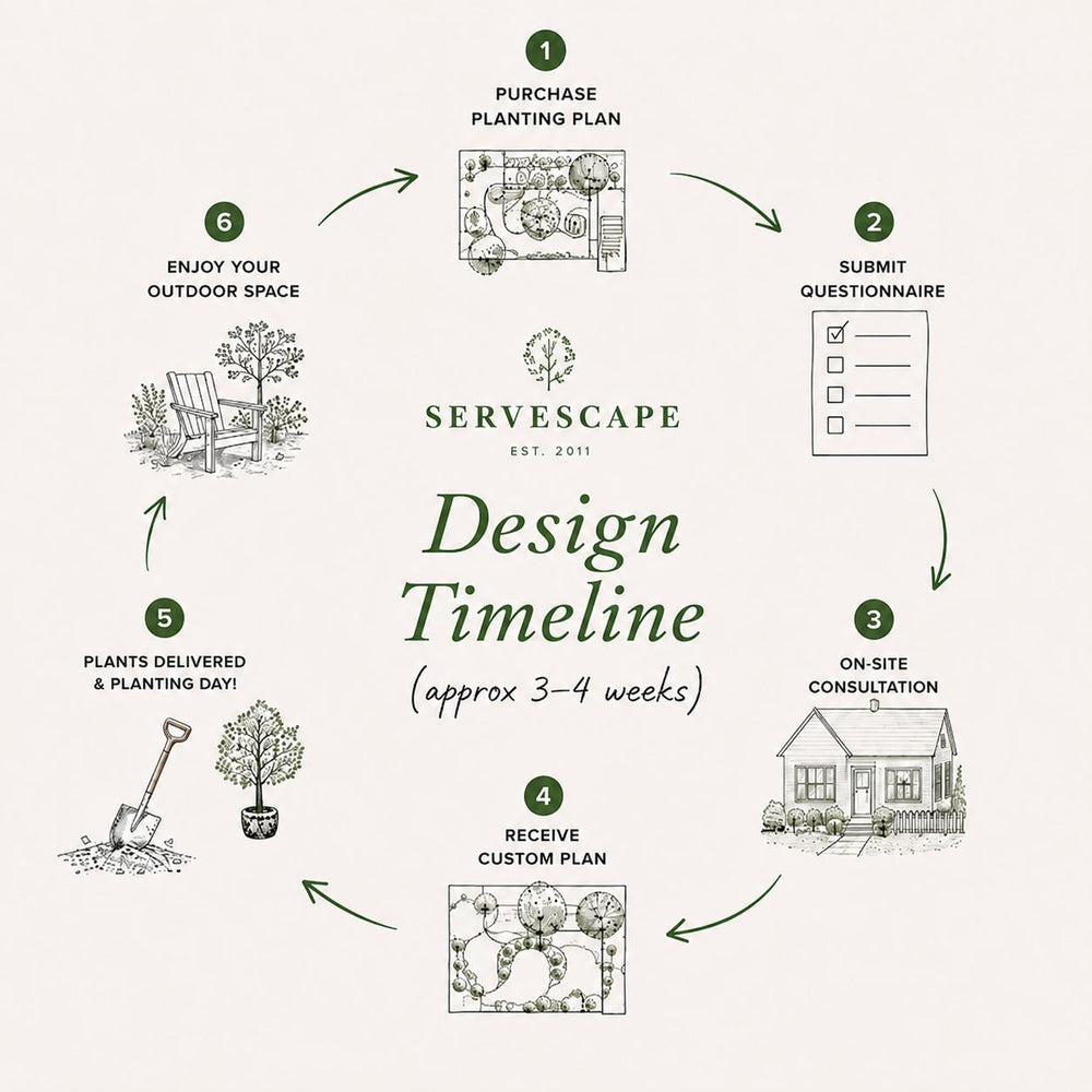 Design Studio ~ Planting Plan-ServeScape