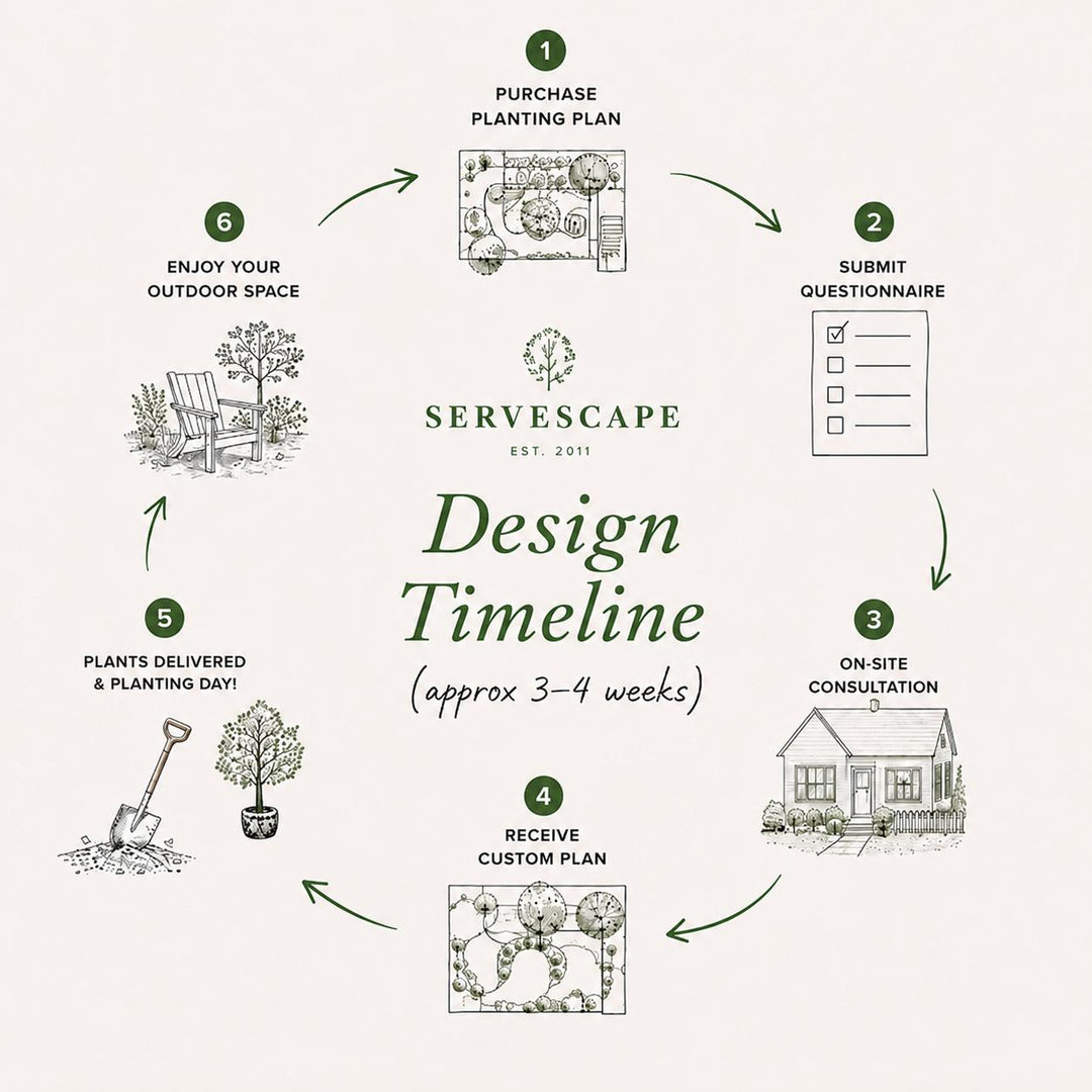 Design Studio ~ Planting Plan-ServeScape
