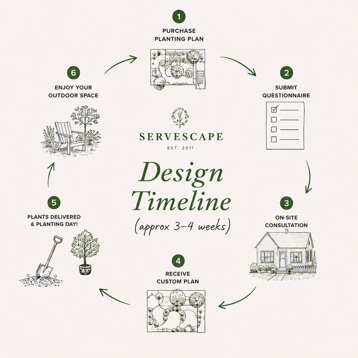 Design Studio ~ Planting Plan-ServeScape