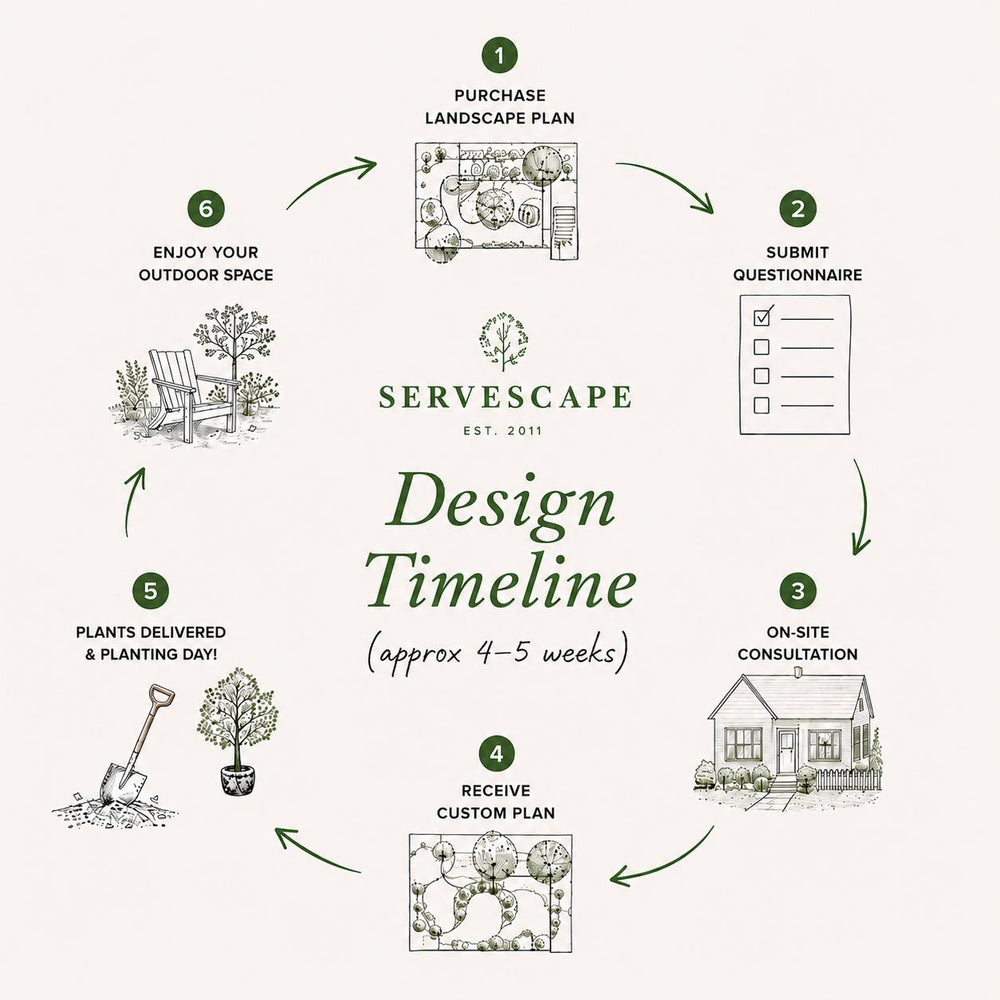 Design Studio ~ Landscape Plan-ServeScape