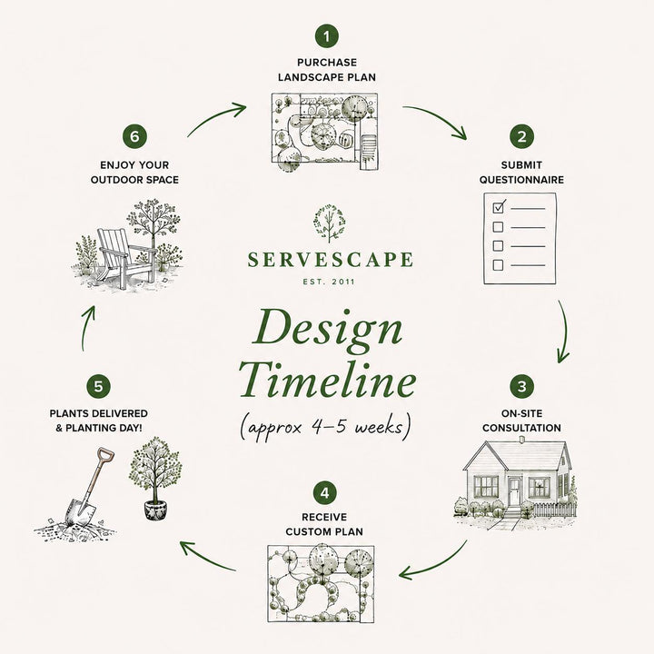 Design Studio ~ Landscape Plan-ServeScape
