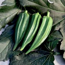 Assorted Vegetables ~ Cucumbers, Melons, Squash, and Okra Vegetables (4.5in)-ServeScape